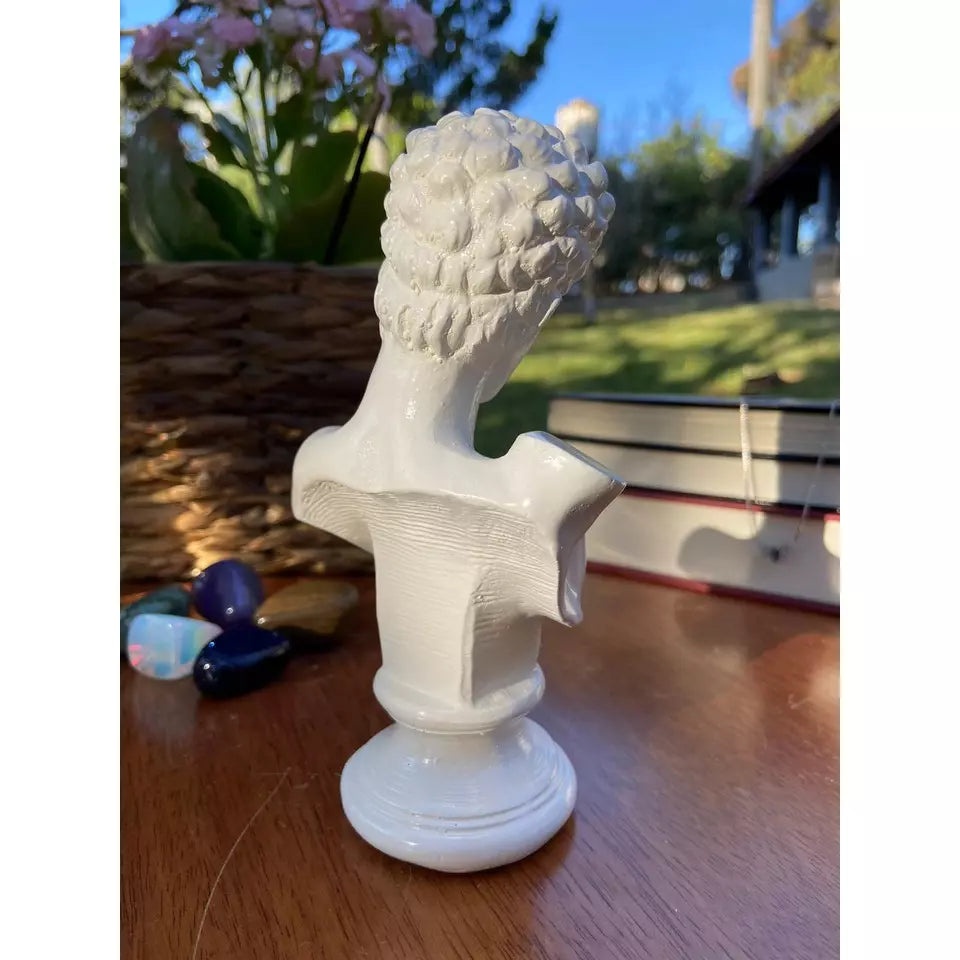 Estátuas Decoração Busto Mitologia Grego e Romana