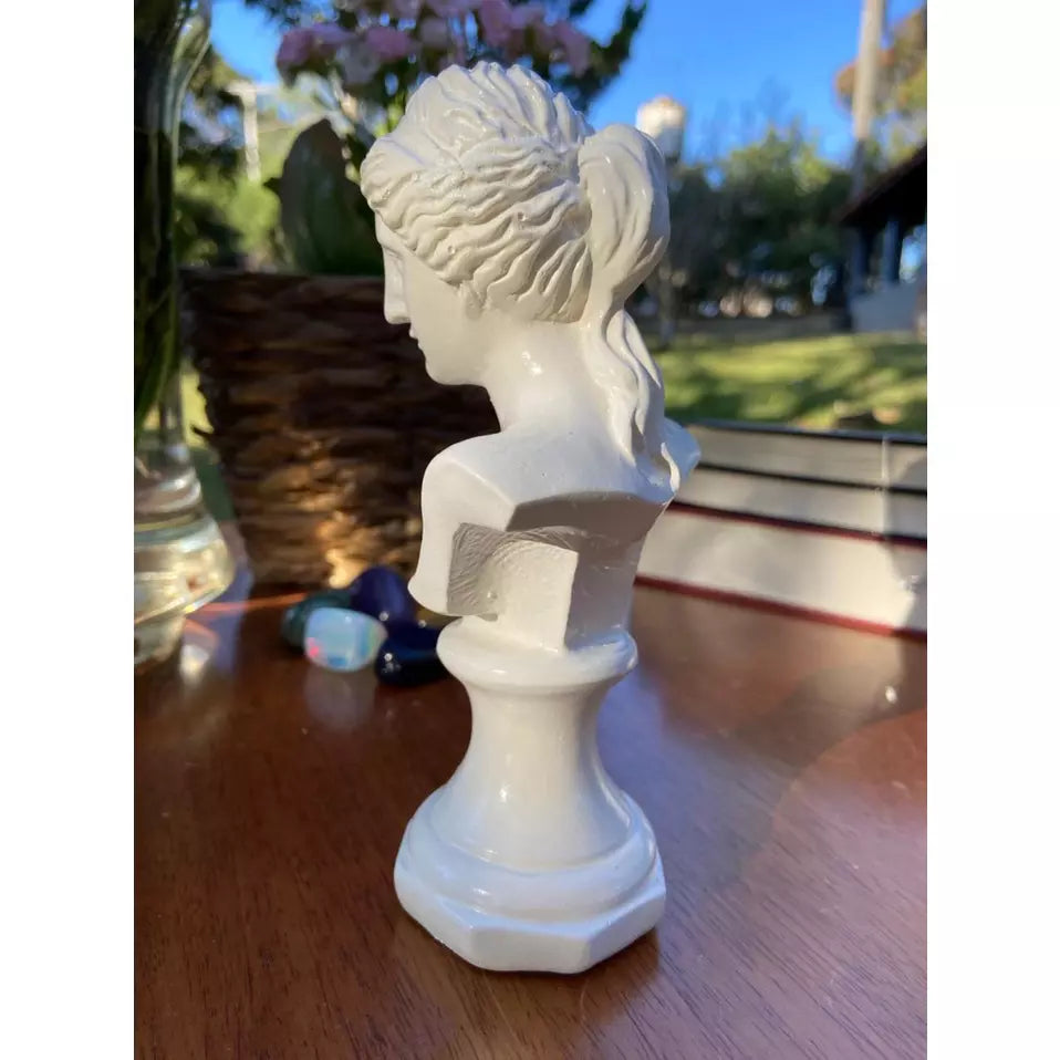 Estátuas Decoração Busto Mitologia Grego e Romana
