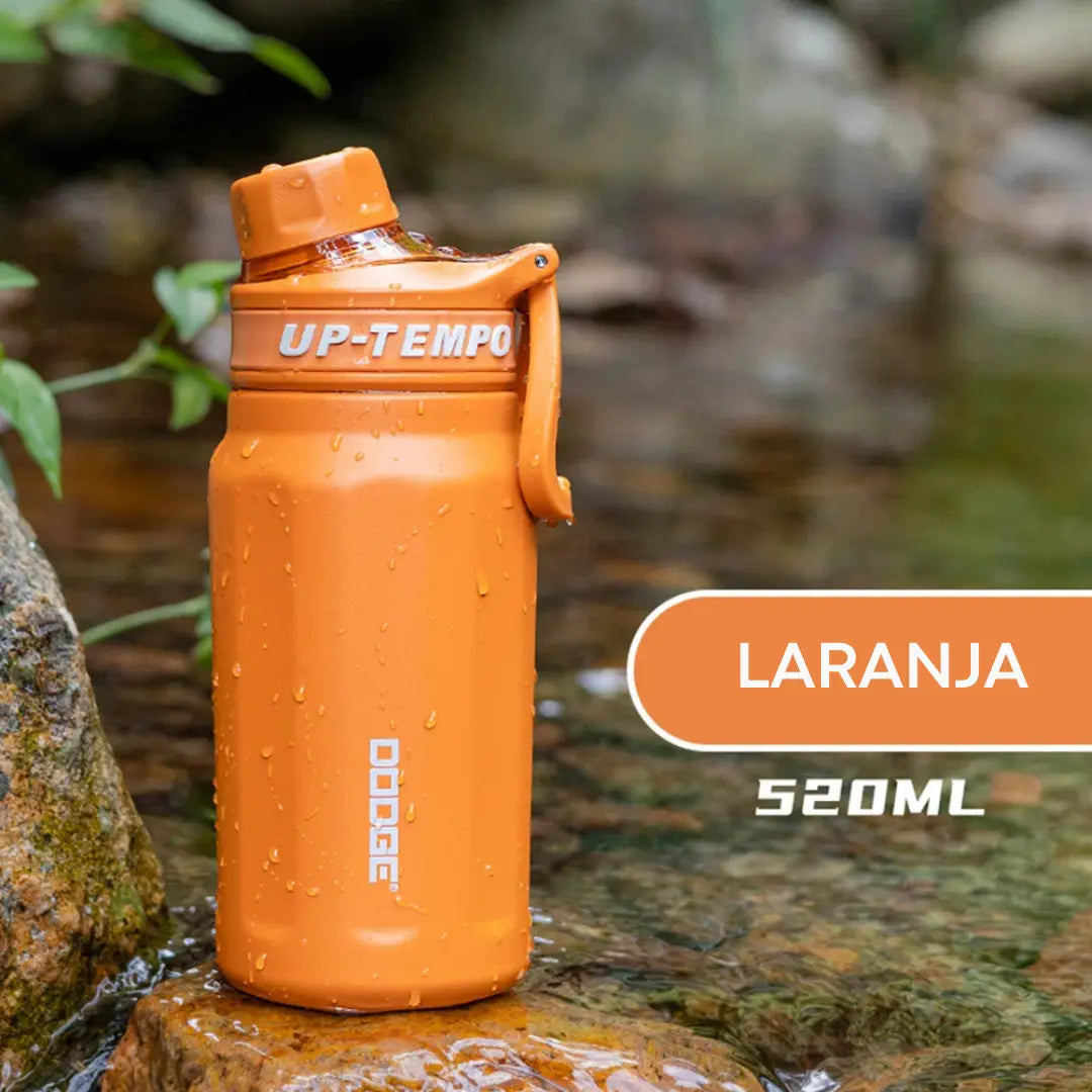 Garrafa Térmica à Vácuo Dodge Up-Tempo 520ml